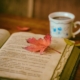 Foto zeigt ein aufgeschlagenes Buch, auf dem ein Ahornblatt liegt. Daneben steht eine Tasse mit Kaffee.